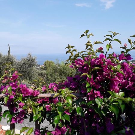 Bed and Breakfast Il Porto Di Benny Alassio Exterior foto